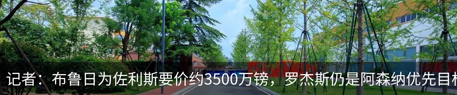 新闻动态