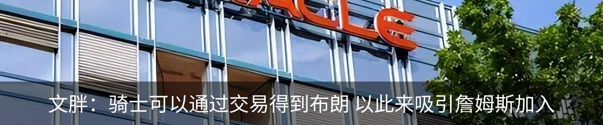 新闻动态
