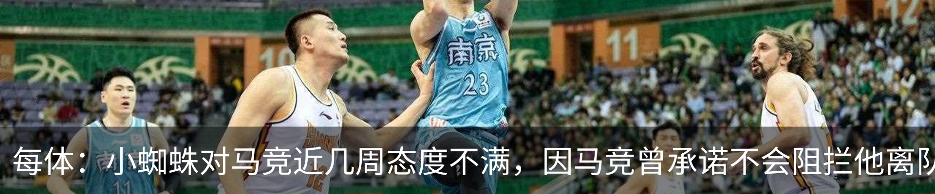 新闻动态